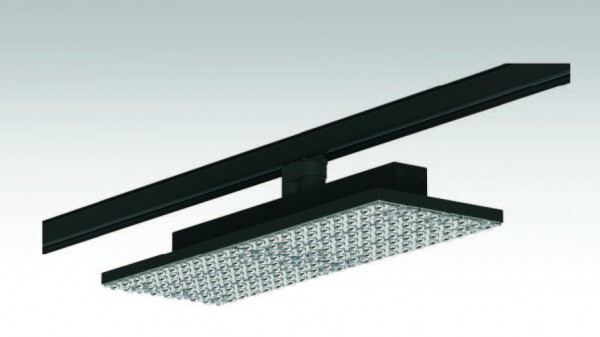 Synergy 21 LED Track-Serie für Stromschiene Track-plate Standard WB ww2